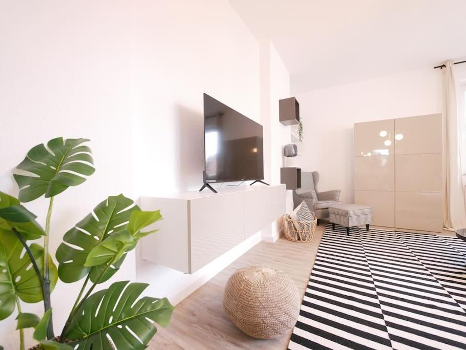 75 M2, Zentral, Gemuetlich, Eigener Parkplatz Apartment